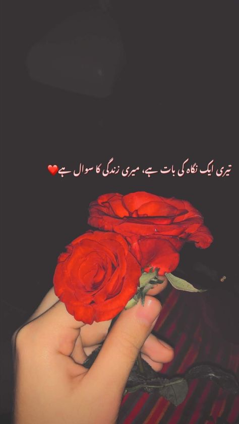 One Line Shayari, Rose Day Pic, Rosé Snapchat, Written Poetry, Snapchat Captions, Status Pic, Urdu Aesthetic, Couple Illustration Wedding, Cute Poetry