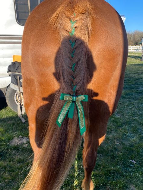 Tail Braids Horse, Horse Tail Hairstyle, Buzzed Mohawk, Horse Mane Ideas, Horse Mane Styles, Braids Glitter, Horse Hair Styles, Horse Hair Ideas, Horse Hairstyles