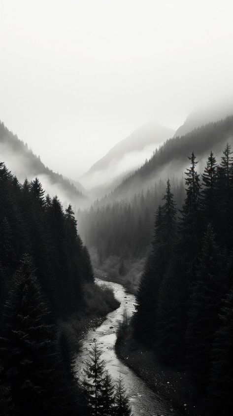 Photography of forest with mountains wilderness monochrome outdoors. | premium image by rawpixel.com / Aew Monochrome Wallpaper Iphone, Wallpaper Black Dark, Black Dark Wallpaper, Mountain Iphone Wallpaper, Forest With Mountains, Iphone Wallpaper Mountains, Minimalist Iphone Wallpaper, Iphone Wallpaper Dark, Iphone Wallpaper Black