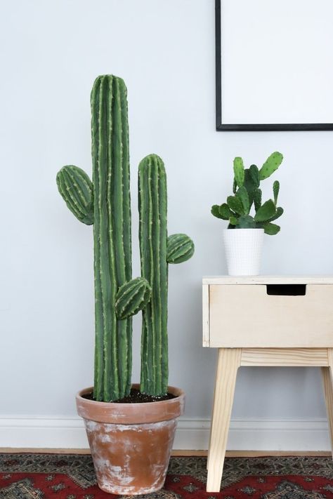 Fake Cactus, Kaktus Dan Sukulen, Cactus House Plants, Cactus Craft, Faux Cactus, Indoor Cactus, Cactus Planta, Cactus Diy, Cute Cactus