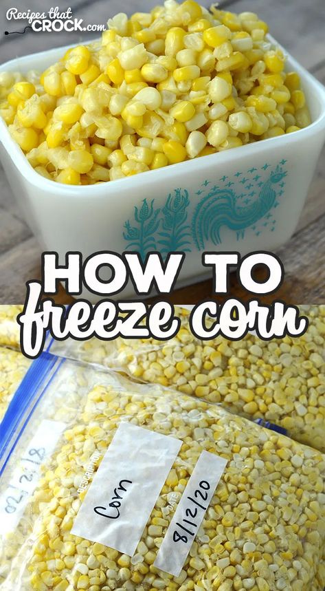 Have you ever wondered How to Freeze Corn? This simple recipe is a tried and true recipe to freeze up some fresh corn to enjoy all year long! via @recipescrock Freezing Corn Recipes, Freezer Vegetables, Freezer Corn Recipe, Freeze Veggies, Frozen Corn Recipes, Freezing Fresh Corn, Freezing Corn, Store Fresh Herbs, Freezing Vegetables