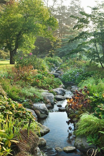 Backyard Stream, Garden Stream, Japanese Rock Garden, Fairytale Garden, Kolam Koi, Modern Landscape Design, Have Inspiration, Traditional Landscape, Plants And Flowers