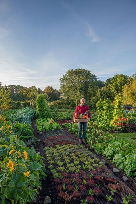 Charles Dowding, Dig Gardens, Farm Pictures, Future Farms, Big Garden, Vegetable Garden Design, Veggie Garden, Growing Food, Farm Gardens