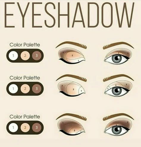 African American Eye Makeup, Eye Shadow Guide, Basic Eye Makeup, Eye Makeup Guide, Hazel Eye Makeup, Makeup Order, Makeup Steps, Simple Makeup Tips, Beginners Eye Makeup