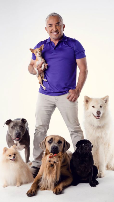 Cesar Millan 🇲🇽 Dog Whisperer Cesar Millan, Dog Grooming Clippers, Dog Training Books, Cesar Millan, Dog Whisperer, How To Train, Dog Trainer, How To Train Your, Best Books