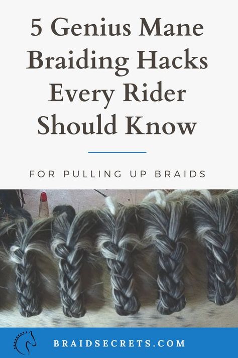 Hunter Braids Horse, Braiding Horse Manes, Horse Braiding Ideas, Horse Braids Mane, Horse Mane Styles, Horse Stretches, Horse Groundwork, Mane Braiding, Horse Hairstyles