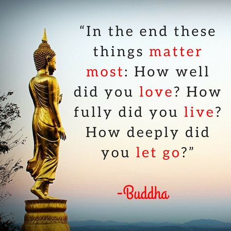 In the end these things matter most: How well did you love ? How fully did you live? How deeply did you let go? #spiritual #faithful #grace #pray #believe #religion #spirituality #trust In The End Only 3 Things Matter, Red Rain, Fitness Progress, Do You Really, Cool Places, Gain Muscle, Wise Quotes, In The End, 3 Things