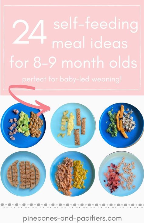 Foods To Give A 9 Month Old, Finger Foods 9 Month Old, Blw Ideas 9 Months, Food For My 9 Month Old, 9 Month Old Meals Ideas, Good Ideas For 8 Month Old, 9m Old Food Ideas, Baby Meals 9 Month Old, 8 Month Old Food Ideas Meals