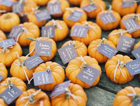 Mini pumpkins held table assignments at this wedding—they could later be taken away as favors. Diy Pumpkin Carving, Fall Wedding Tables, Fall Wedding Diy, Pumpkin Wedding, Wedding Favor Ideas, Wedding Favors Fall, Fall Wedding Cakes, Rustic Fall Wedding, Pumpkin Centerpieces