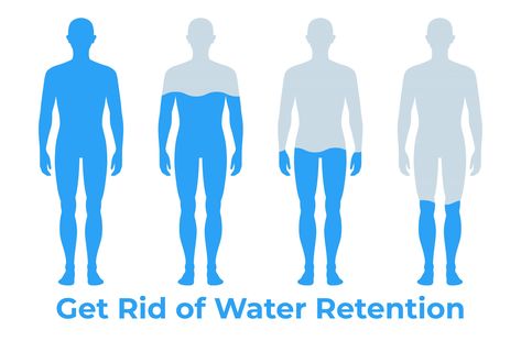 How to Get Rid Of Water Retention Fluid Retention Remedies, Water Retention Causes, Sweet Sweat Waist Trimmer, Water Retention Remedies, Muscle Diet, Lose Water Weight, Retaining Water, Sweet Sweat, Swollen Legs