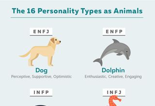 16 Personalities Funny, How To Observe People, Mbti As Animals, Animal Personality Types, Esfj Personality, Disc Personality, Infp T Personality, Enfj Personality, The 16 Personality Types