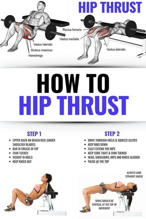 Hip Thrusts, Muscles In Your Body, Trening Fitness, Hip Thrust, Bodybuilding Training, Gym Workout Tips, Bodybuilding Workouts, Glutes Workout, Leg Workout