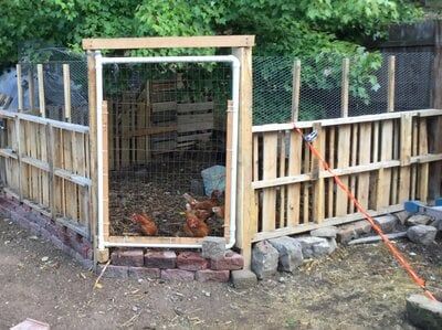 Small City Backyard, Build A Chicken Run, Building A Chicken Run, City Backyard, Chicken Coop Pallets, Chicken Fence, Chicken Coop Garden, Backyard Chicken Coop Plans, Diy Chicken Coop Plans