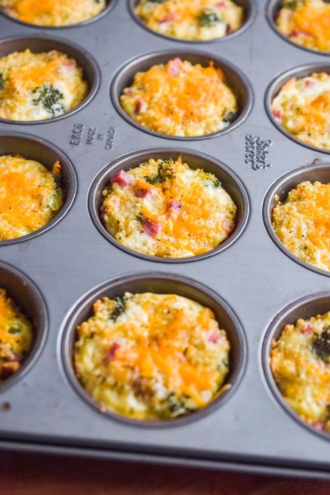 Broccoli Egg Muffins, Ham Broccoli, Quinoa Recipes Breakfast, Quinoa Egg, Quinoa Broccoli, Quinoa Recipes Easy, High Fiber Breakfast, Breakfast Quinoa, Quinoa Recipes Healthy