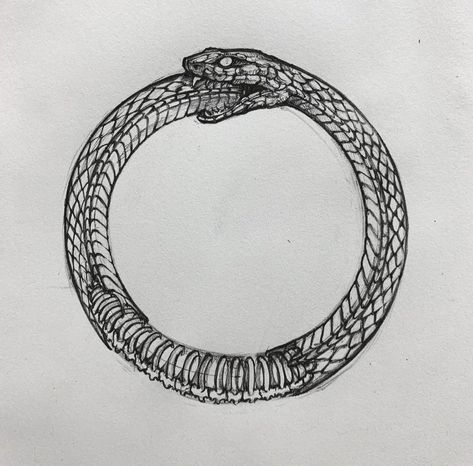 Ouroboros Elbow Tattoo, Snake Eating Tail, Ouroboros Art, Deftones Tattoo, Snake Eating, Cool Animal Tattoos, Ouroboros Tattoo, Animal Tattoo Ideas, Circle Tattoos