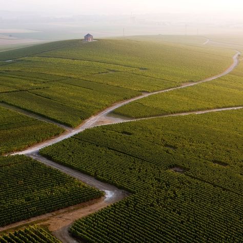 Champagne now counts around 16,200 growers and some 370 houses behind the 187.2 million bottles of bubbly exported worldwide last year. Of these houses, you’ll find most of the big domaines around Reims (Ruinart, Pommery, Taittinger and Veuve Clicquot are all here) or in Épernay, after Jean-Rémy Moët wisely chose to build on a key pathway between Paris and Europe, starting what would become the Avenue de Champagne. Epernay France Champagne, Champagne Pairing, Reims Cathedral, Champagne France, Best Champagne, Champagne Region, Wine Tourism, World Places, Vintage Champagne