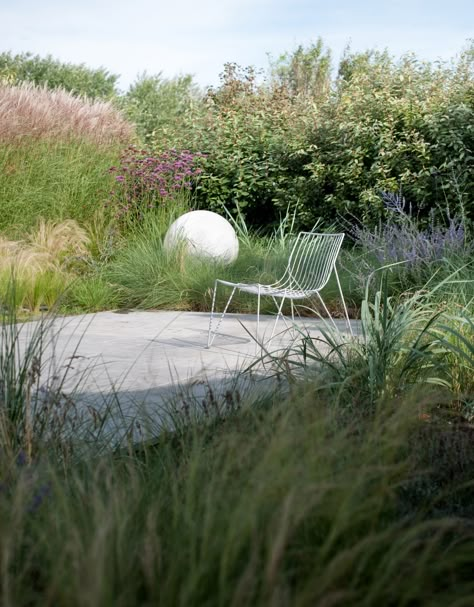 Dune garden in The Netherlands - Modern - Exterior - Other - by Andrew van Egmond - Designing garden and landscape | Houzz Dune Garden, Waterfront Garden, Cocktail Pool, Eco Garden, Coastal Garden, Coastal Gardens, Grasses Garden, Side Garden, Plunge Pool