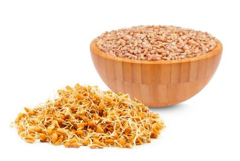 Wheat Germ Benefits, Foods High In Zinc, Vitamin Benefits, 1000 Calorie Diets, Poke Salad, Best Healthy Foods, Zinc Rich Foods, Blood Clotting, Zinc Supplements