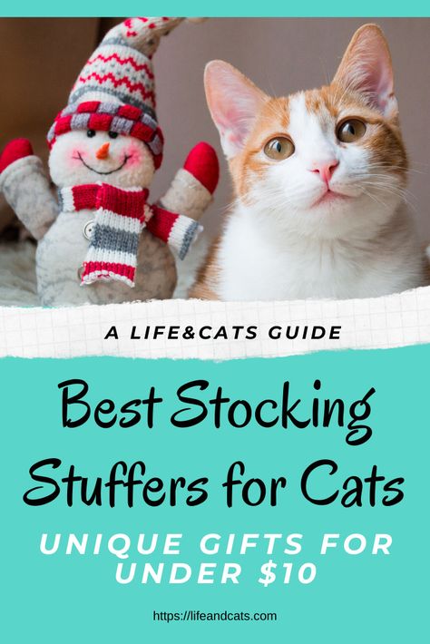 Unique stocking stuffers for cats under $10. Include your cat in the holiday fun with these ideas for stocking stuffers for cats. Cat Gifts For People, Dad Stocking Stuffers, Cats Unique, Cat Presents, Cat Lovers Gifts, Cat Stockings, Gift Ideas For Cat Lovers, Unique Stocking Stuffers, Cat Lounge