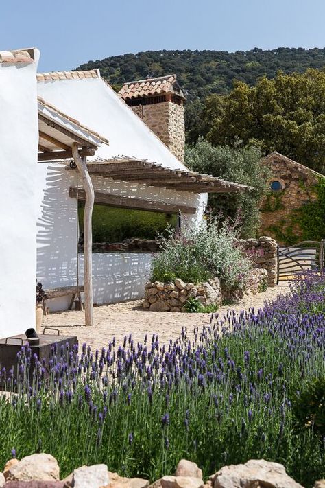 Make Essential Oils, Casa Hobbit, Spanish Garden, Lavender Garden, Southern Spain, Organic Farm, Spanish Revival, Mediterranean Garden, Stone Cottage