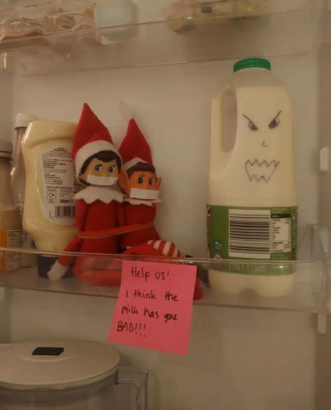 Elf On The Shelf Pet Ideas, Elf On Shelf Funny, Elf Ideas Easy, Bad Elf, Elf Of The Shelf, Elf On The Shelf Idea, Elf Funny, Christmas Elf Ideas, Elf Shelf