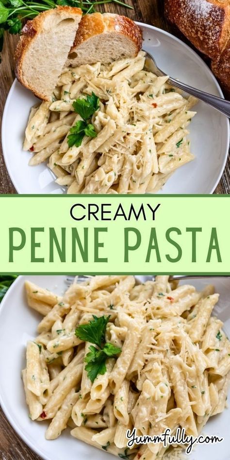 Try the creamy delight of our exquisite Creamy Penne Pasta, where tender penne is bathed in a luscious, velvety sauce, offering a taste of pure comfort. For more mouthwatering recipes that will tantalize your taste buds, be sure to visit our website and explore a world of culinary inspiration Garlic Penne Pasta, Creamy Penne Pasta, Creamy Garlic Penne Pasta, Penne Pasta Recipe, Penne Pasta, Pasta Recipe, Garlic, Sauce, Pasta