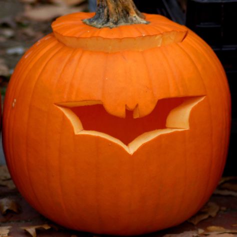 Have the best pumpkin on the block with these great ideas! Pumkin Designs, Cute Pumpkin Carving, Pumkin Carving, Creative Pumpkin Carving, Amazing Pumpkin Carving, Easy Pumpkin Carving, Pumpkin Drawing, Pumpkin Carving Designs, Pumpkin Pictures