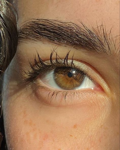 Hazle Eyes, Hazel Eyes Brown Hair, Hazel Eyes Aesthetic, Hazel Eyes Brown, Hazelnut Eyes, Dark Hazel Eyes, Pretty Eyes Color, Green Brown Eyes, Hazel Brown Eyes