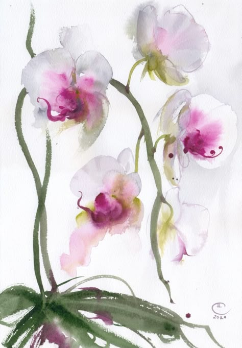 Abstract Orchid, Watercolor Orchids, Watercolor Orchid, Orchid Drawing, Loose Florals, Orchids Painting, Loose Watercolour, Loose Watercolor Flowers, Watercolour Florals