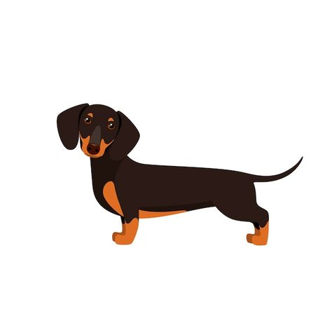 Frat Painting, Dachshund Drawing, Arte Dachshund, Daschund Dog, Unusual Animal Friendships, Dachshund Cartoon, Dachshund Birthday, Dachshund Illustration, Dog Logo Design