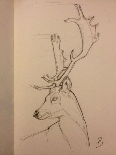 Deer Drawing Sketches, Deer Art Drawing, Deer Drawings, Drawing Deer, Reindeer Drawing, Deer Sketch, Deer With Antlers, Deer Drawing, Oversized Parka