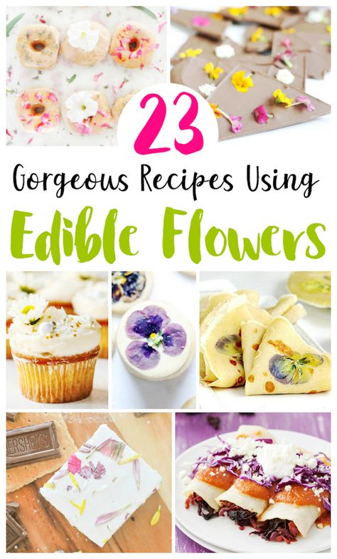 Dried edible flowers can be an addition to so many recipes! There are 23 edible flowers in this post and you'll learn which are food safe.  #edibleflowersrecipe #edibleflowerscake #edibleflowerscookie #edibleflowerslistof #edibleflowergarden #edibleflowerweddingcake #edibleflowersforcakes #edibleflowers #sff225 Dried Edible Flowers, Table Setting Romantic, French Modern Home, Edible Flower Garden, Smoked Salmon Sandwich, Farm Dinner, Lemon Curd Tart, Flowers Recipes, Edible Flowers Cake