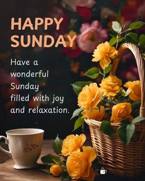 Hi Good Morning, Blessed Sunday Morning, Sunday Morning Wishes, Beautiful Morning Pictures, Whatsapp Good Morning, Good Morning Happy Weekend, Weekend Wishes, Happy Sunday Images, Have A Beautiful Sunday