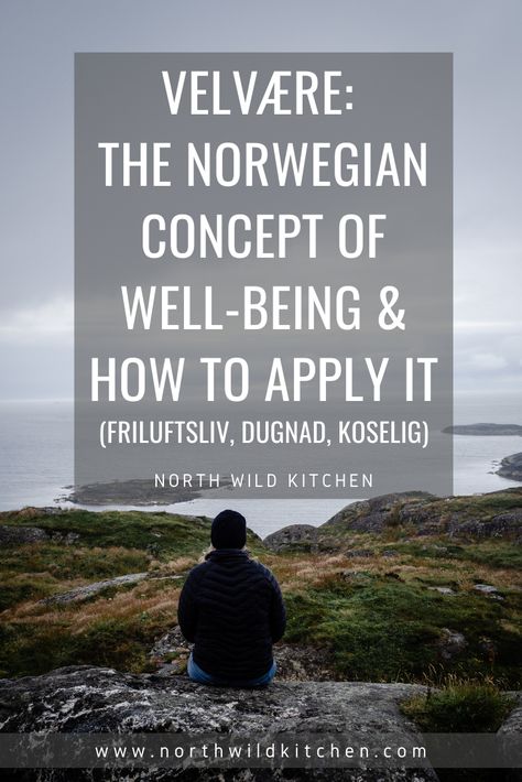 Norwegian Aesthetic, Nordic Traditions, Norwegian Lifestyle, Wild Kitchen, Nordic Forest, Social Wellness, Self Alignment, Nordic Nature, Nordic Aesthetic