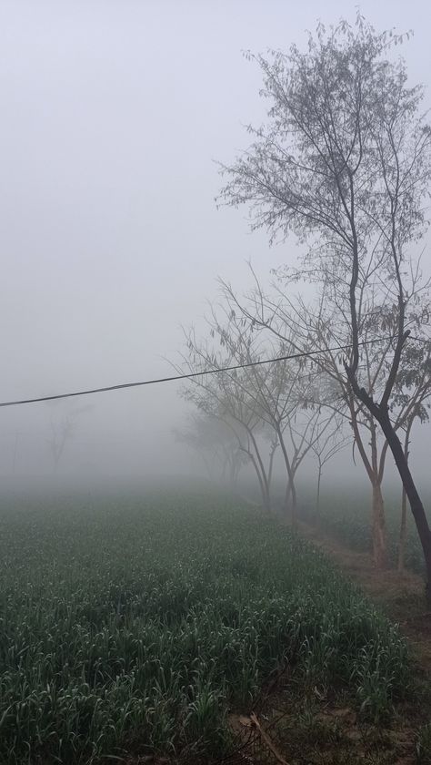 #Village #FoggyDay #Punjab #Winter #GreenFields #Morning Village Winter Morning, Winter Foggy Morning Snap, Village Vibes Snap, Village Morning Snap, Fog Snapchat Story, Village Morning Photography, Morning Vibes Snap, Winter Morning Snap, Morning Winter Aesthetic