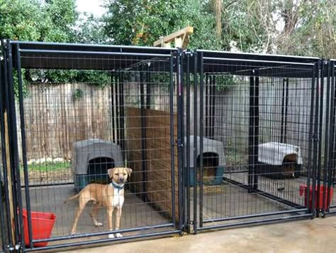 Dog Kennel – High Safety, Corrosion and Rust Resistance, Enough Space Dog Cage Outdoor, Dog Run Ideas, Dog Kennel Flooring, Dog Kennel And Run, Dog Enclosures, Kennel Ideas Outdoor, Cheap Dog Kennels, Luxury Dog Kennels, Dog Kennel Outside