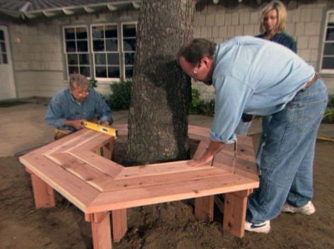 Diy Tree Bench, Seat Around Tree, Bench Seat Around Tree, Under Tree Sitting Area, Around The Tree Bench, How To Build A Bench Around A Tree, Wrap Around Tree Bench, Seating Around Tree, Sitting Area Around Tree