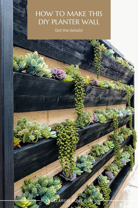 Want to update your outdoor space? Learn how to make this giant DIY planter wall! Black Garden Fence, Plant Wall Diy, Wall Planters Outdoor, Succulent Wall Garden, Succulent Wall Planter, Planter Wall, Diy Planter, Vertical Garden Wall, Christmas Float