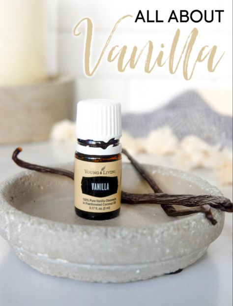 This scent is a must have for the holidays!! Place an order with me and I’ll send you a FREE christmas spirit!! Click my link to shop! Send me a message when you’re finished! Young Living Diffuser, Vanilla Oil, Essential Oils For Pain, Essential Oils For Headaches, Essential Oils Young Living, Mist Diffuser, Young Living Essential Oils Recipes, Essential Oils Guide, Essential Oils For Sleep