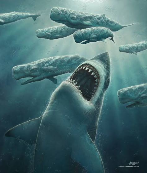 megalodon shark pictures | Megalodon Picture Kerem Beyit, Shark Stuff, The Meg, Megalodon Shark, Deep Sea Creatures, Extinct Animals, Discovery Channel, Prehistoric Creatures, White Sharks