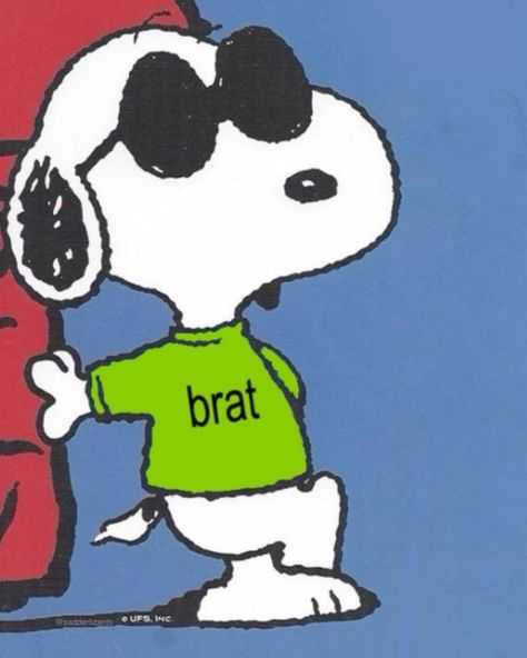 maybe the real brat summer is the friends we made along the way Brat Summer, Snoopy Dog, Snoop Dog, Spotify Covers, Charli Xcx, Playlist Covers, Room Posters, Really Funny Pictures, Vintage Poster