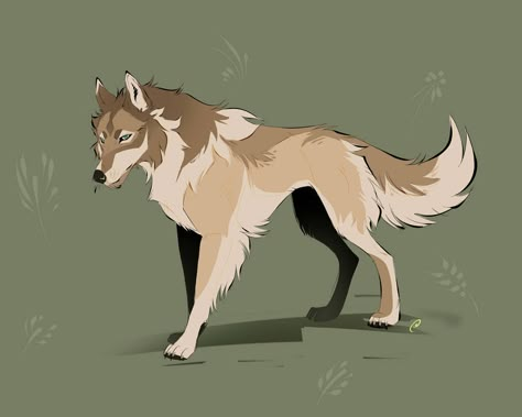 Wolf Art Base, Wolf Mount, Golden Shrike, Cute Wolf Drawings, Wolf Drawings, Anime Wolves, Canine Drawing, Werewolf Art, Wolf Drawing