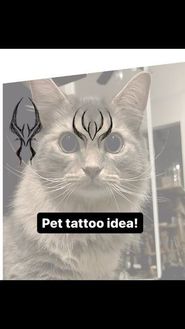 Cat Tribute Tattoo Ideas, Cat Elbow Tattoo, Manx Cat Tattoo, Cat Fur Pattern Tattoo, Maincoon Tattoo, Cat Forehead Tattoo, Cat Stripes Tattoo, Tattoo For Pet Cat, Cat Markings Tattoo