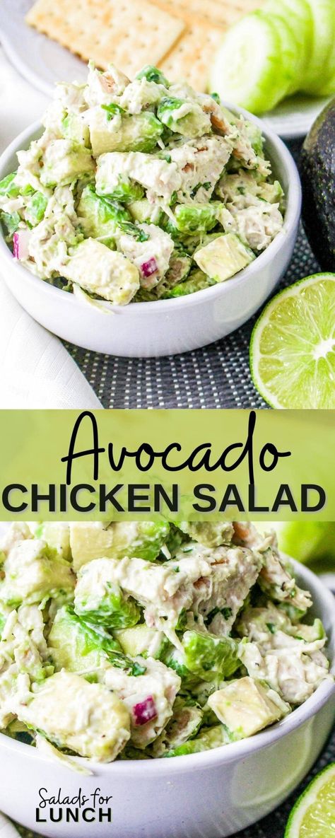 Creamy Avocado Chicken Salad, Chicken Salad Recipe With Avocado, Avocado And Chicken Salad, Chicken Avacacado Salad Recipes, Avacodo Chicken Salad, Chicken Mexican Casserole, Chicken Avocado Burrito, Avocado Chicken Recipes, Green Salad With Chicken