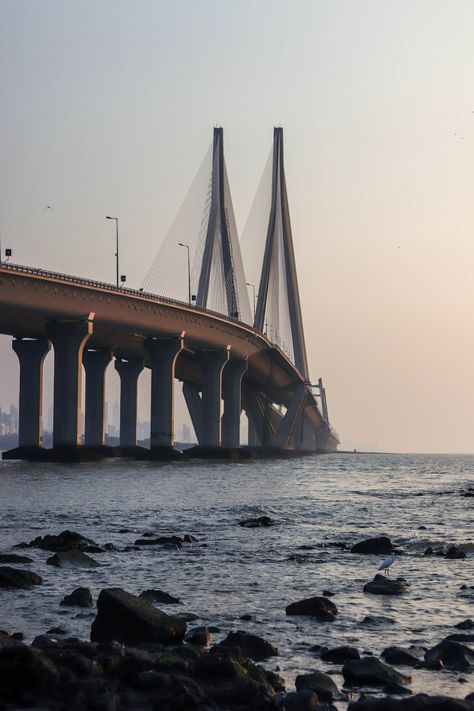 Bridge Over The Sea · Free Stock Photo Mumbai Tourism, Worli Sea Link, Bandra Worli Sea Link, Mumbai Meri Jaan, Mumbai Travel, Marine Drive, Beaches To Visit, British Architecture, Mumbai City