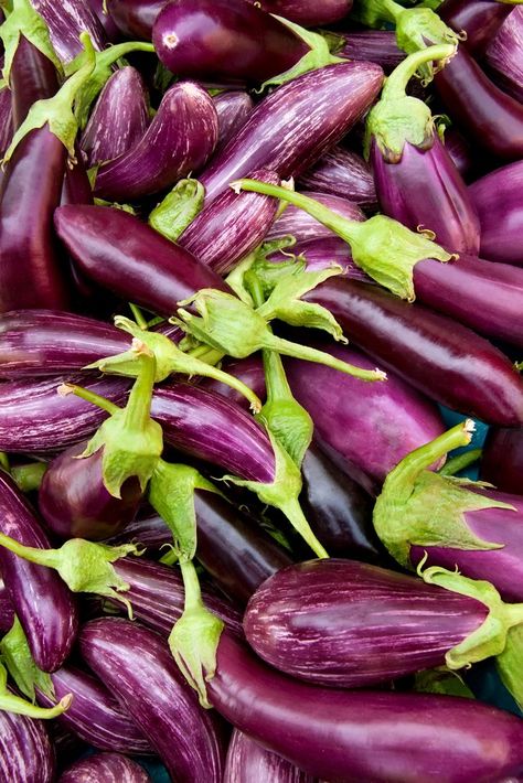 Freezing Eggplant, Eggplant Varieties, Nightshade Vegetables, Giant Vegetable, Vegetables Photography, Vegetable Pictures, Egg Plant, Incredible Edibles, Eggplant Parmesan