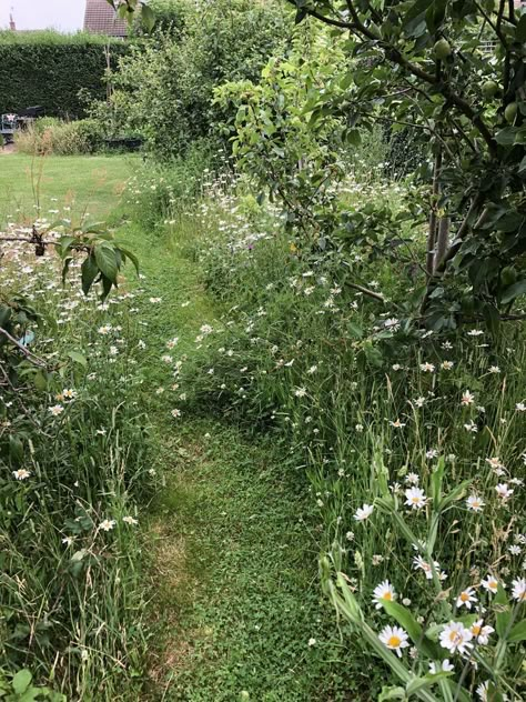 Summer Meadow Aesthetic, Meadow Aesthetic, Jane Austen Aesthetic, Austen Aesthetic, Bennet Sisters, Cottage Countryside, Pride And Prejudice Jane Austen, Elizabeth Bennett, Pride And Prejudice Jane