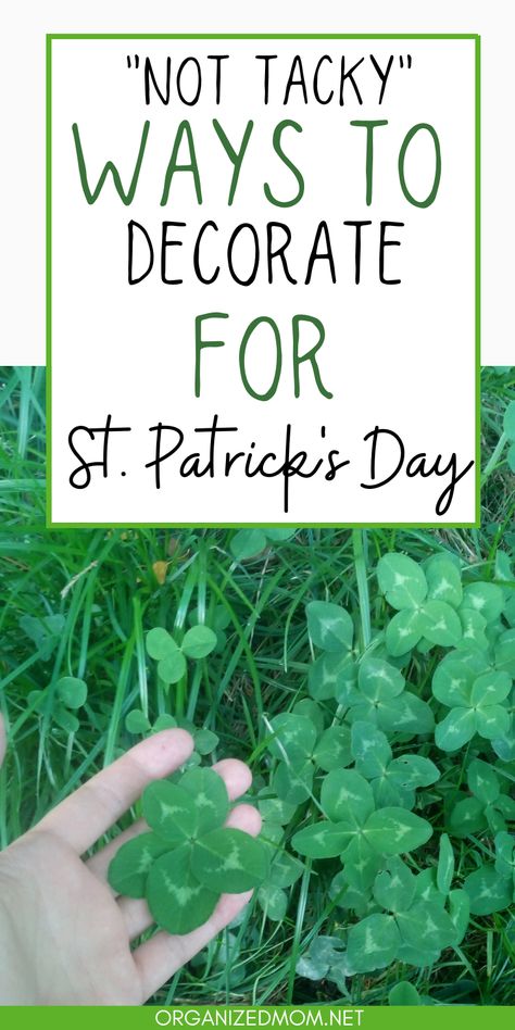 Check out these amazingly beautiful St. Patrick's Day decorations. From ready to buy to DIY, we have you covered for St. Patrick's Day! St Paddys Day Decorations, St Pattys Decoration, St Patrick’s Decoration Ideas, St Patrick’s Day Diy Decorations, St Patrick’s Day Table Decor, St Pattys Decorations Diy, Saint Patricks Day Decoration, Ideas For St Patrick's Day, St Patricks Day Table Decorations