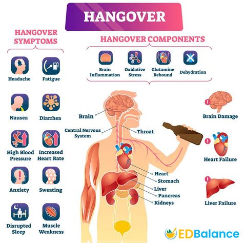 Here to learn about what causes the typical symptoms of a hangover and which components are affected to hangover what you can do to prevent one!  #edbalance #Erectiledysfunction #Menshealth #onlinepharmacyusa #onlinepharmacy #pharmacy #healthcare #Medication #hangover