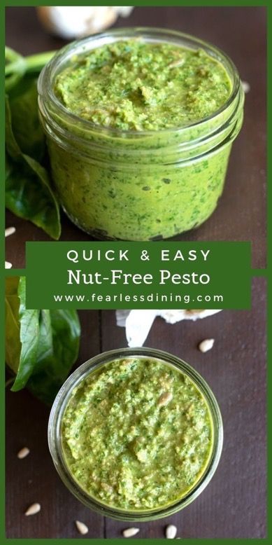 Pesto Recipe No Nuts, Fresh Basil Recipes, Nut Free Pesto, Pesto Sauce Recipe, Homemade Pesto Recipe, Alpha Gal, Basil Pesto Recipes, Pesto Recipes, Basil Recipes